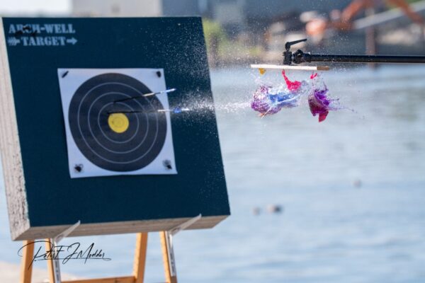 Ticket Camerado + Workshop Boogschieter foto/video actie,- en sportfotografie - Afbeelding 2