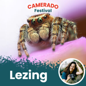 10:15 - 11:00 Marit van Ekelenburg Macro: De Kracht van het Kleine