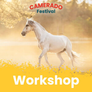 10:15 -11:00 Foto Een Nobel portret - Paardenfotografie